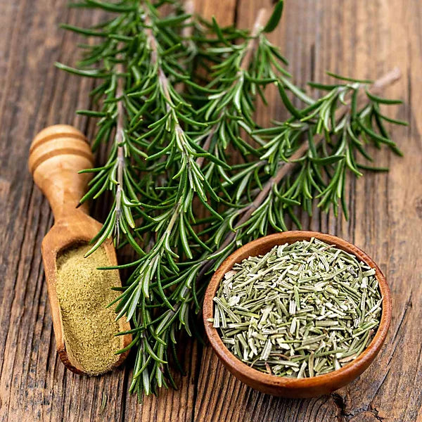 Dried Rosemary in Hand Painted Ceramic Jar - 10g