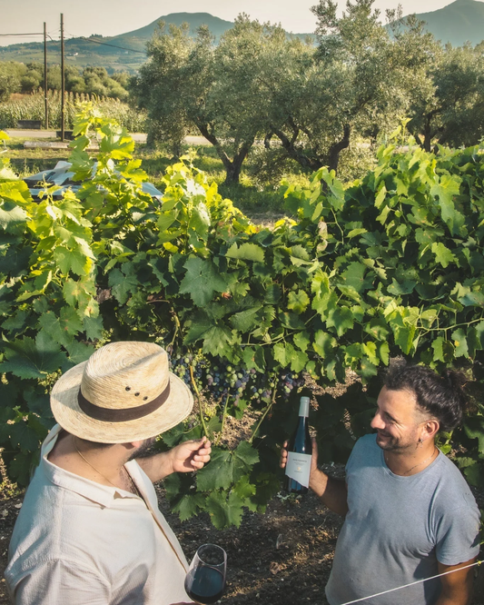 A Guide to Italian Wine: Regions, Grapes and the Wines We Love