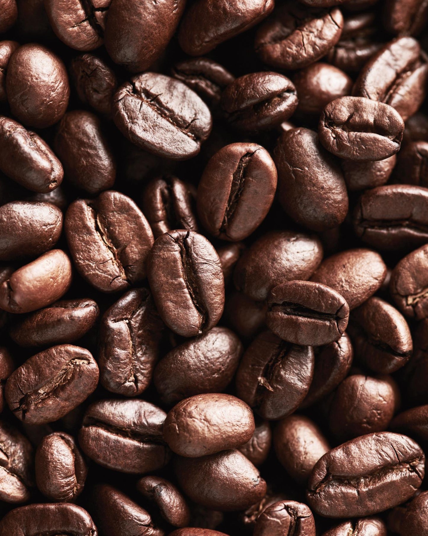 Rossella Signature Coffee Beans - 1kg