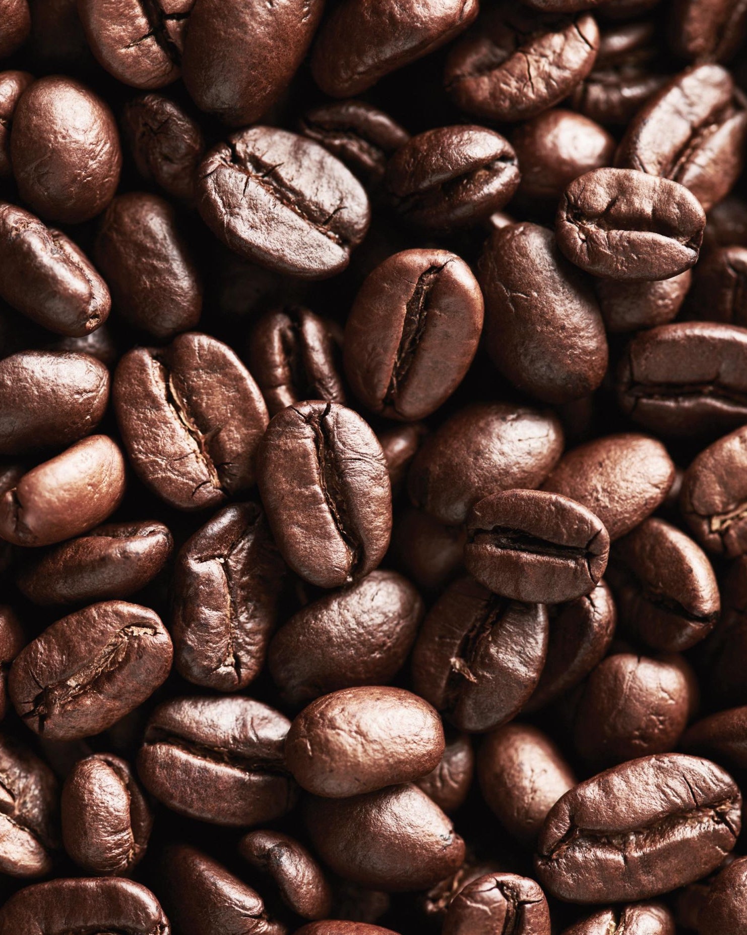 Rossella Signature Coffee Beans - 1kg
