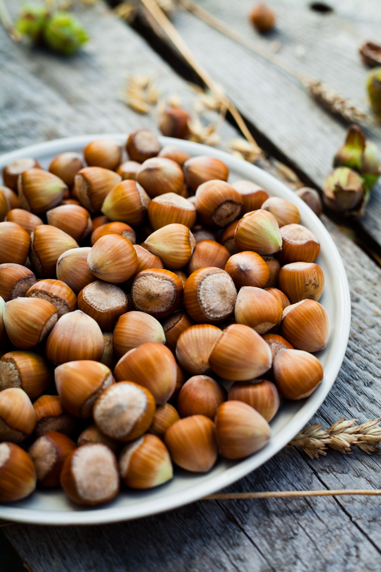 Grisbì Chocolate & Hazelnut - 135g