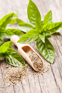 Dried Basil in Hand-Painted Ceramic Jar - 10g
