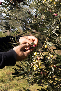 Rossella Extra Virgin Olive Oil - 250ml