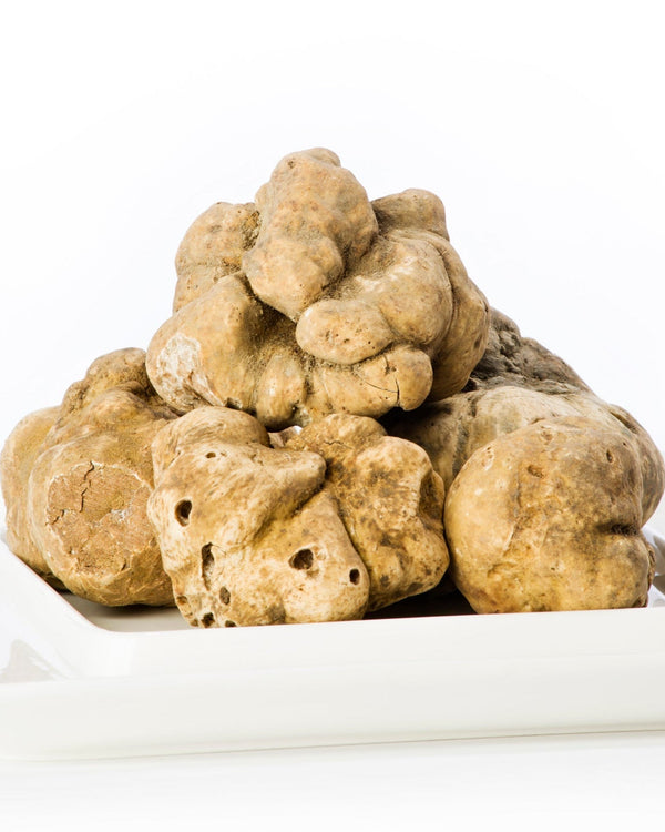 White Truffle Oil - 250ml