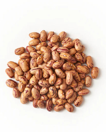 Alce Nero Organic Steamed Borlotti Beans - 300g