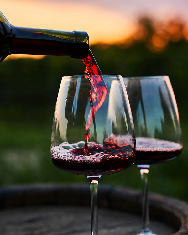 Amonte Barbera Piemonte DOC - 750ml