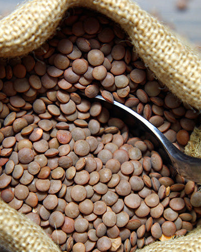 Alce Nero Organic Dried Mountain Lentils - 400g