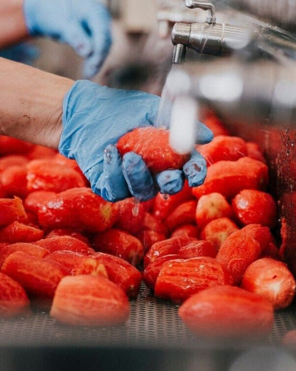 Bio Orto Organic Peeled Tomatoes - 550g